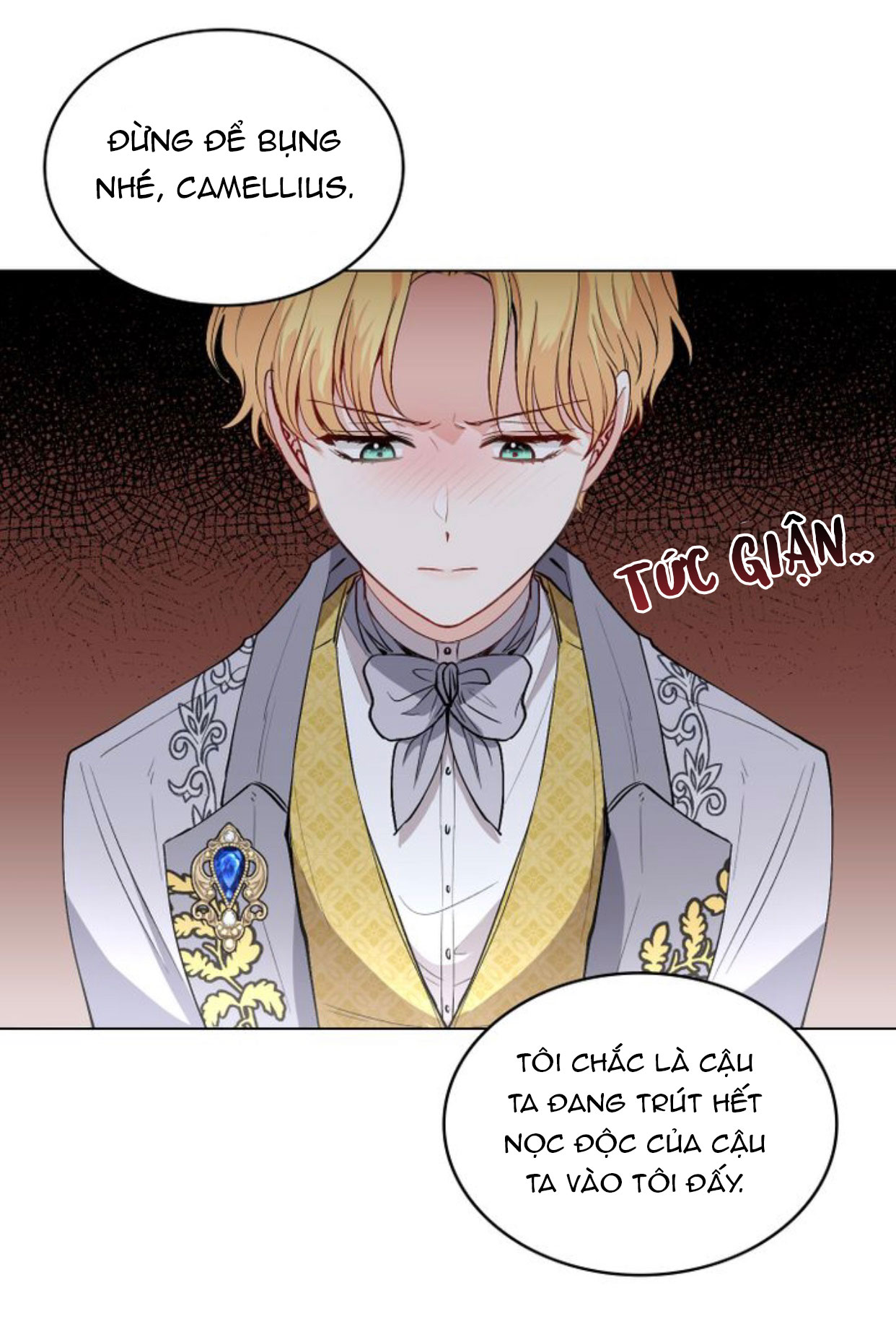 đi tìm nàng camellia chapter 12 53