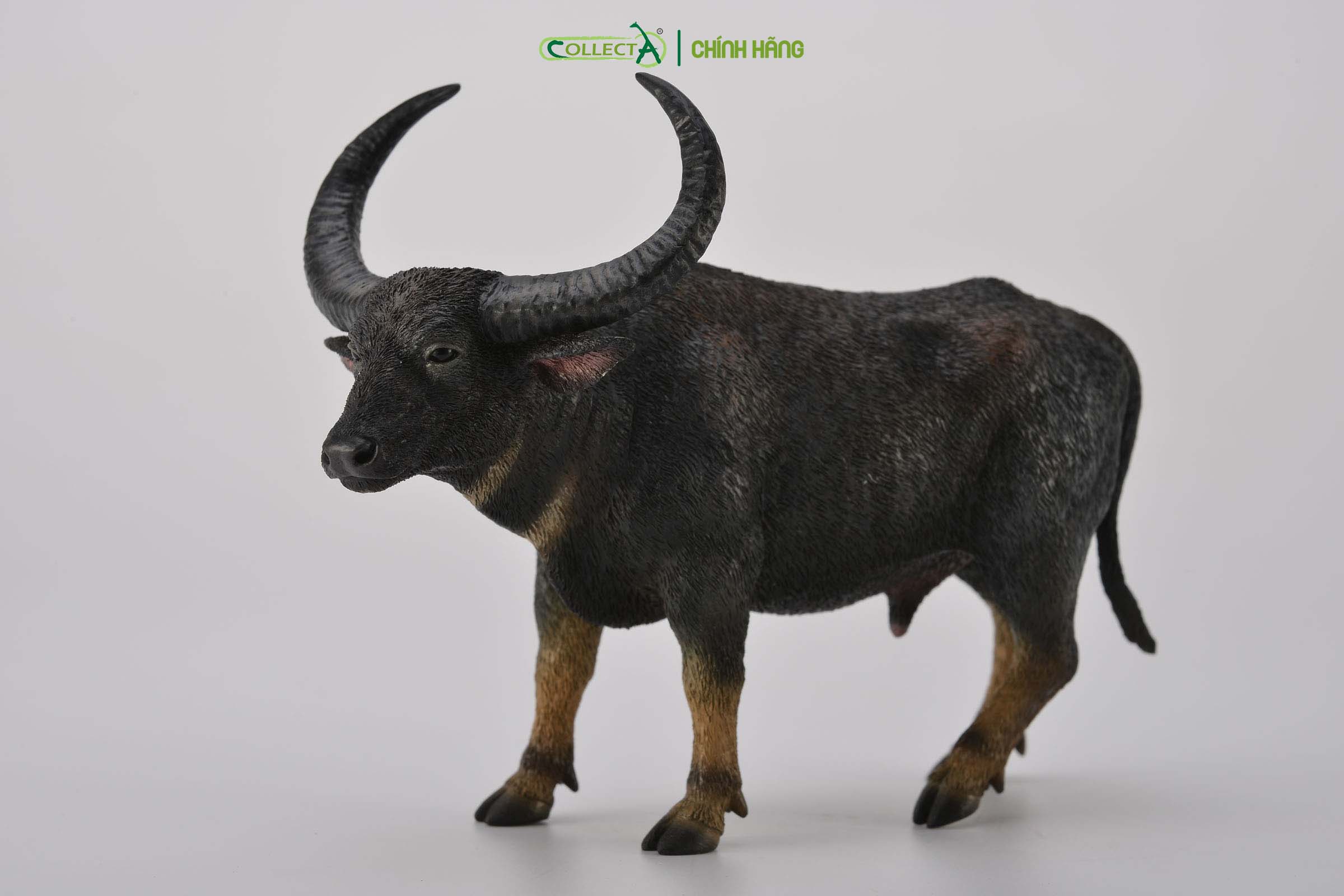 Mô hình thu nhỏ: Trâu rừng - Wild Water Buffalo, hiệu: CollectA, mã HS 9650050[88657] -  Chất liệu an toàn cho trẻ - Hàng chính hãng