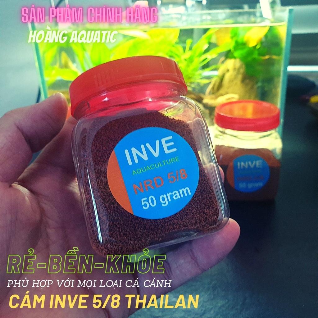 THỨC ĂN CÁ CÁM THÁI INVE CAO CẤP Cho Cá Beta, Guppy, Vàng,...