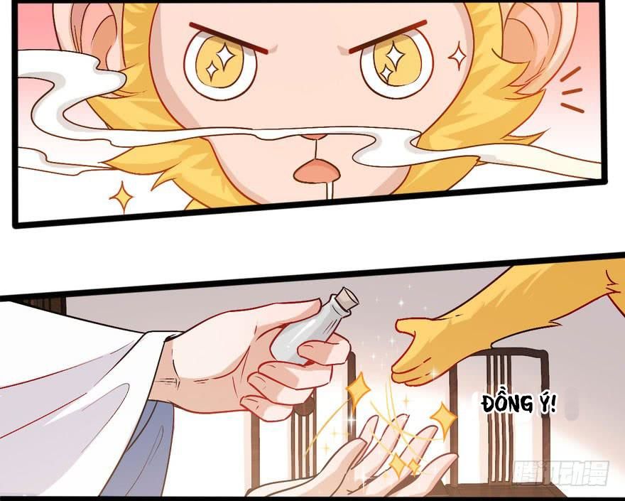 quẻ phi thiên hạ chapter 16 12