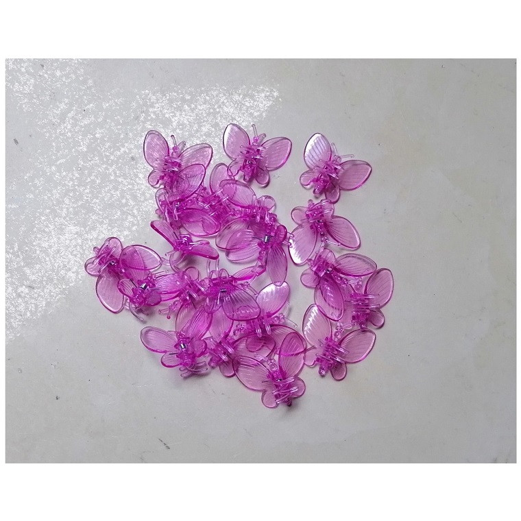 TÚI 20 KẸP BƯỚM TRỒNG LAN SIÊU ĐẸP