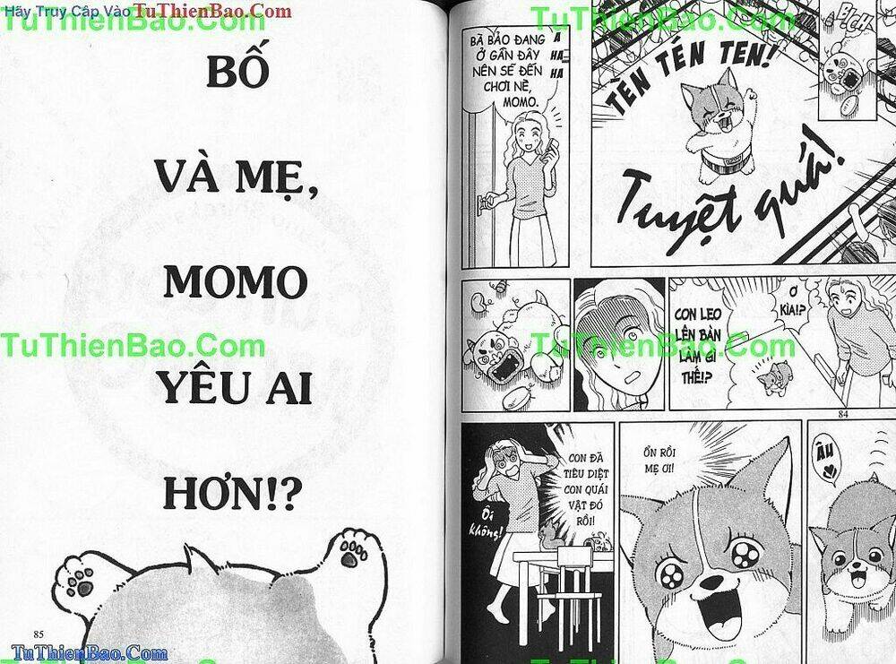 chó con mo mo chapter 2 43