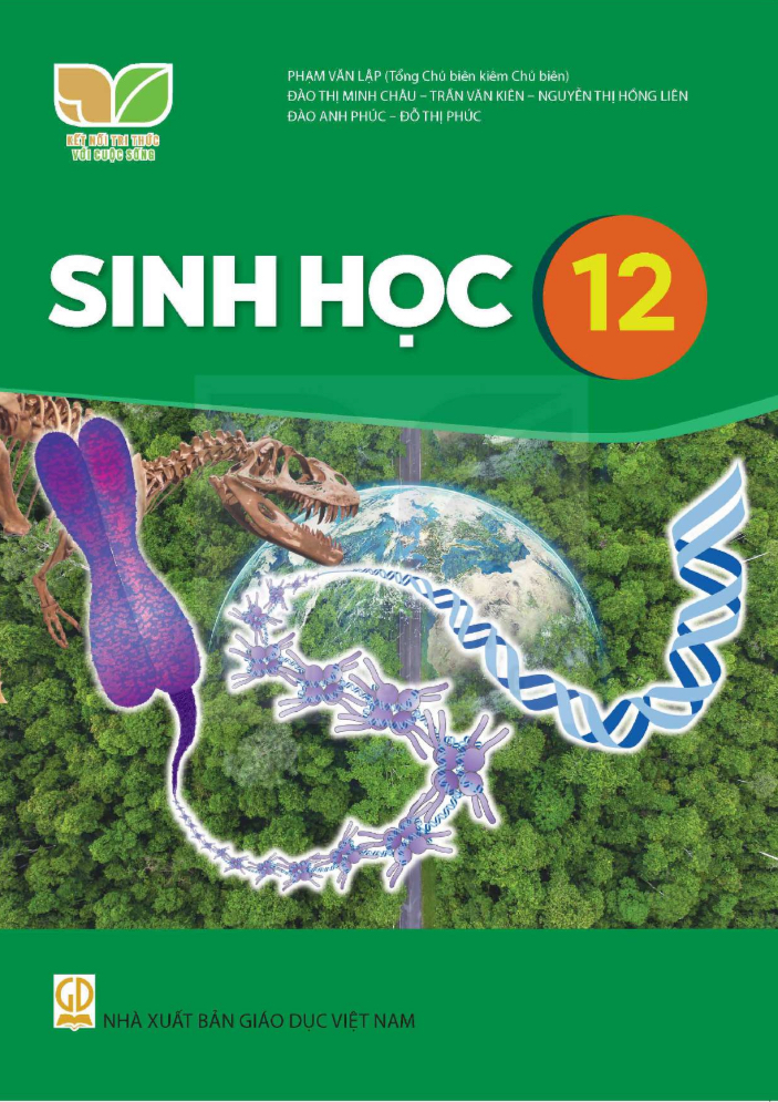 Sách giáo khoa Sinh Học 12- Kết Nối Tri Thức Với Cuộc Sống (Kèm Nilon bọc Sách)