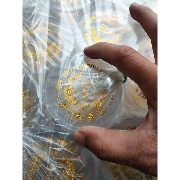 Hộp nhựa 2 nắp, 10 hộp