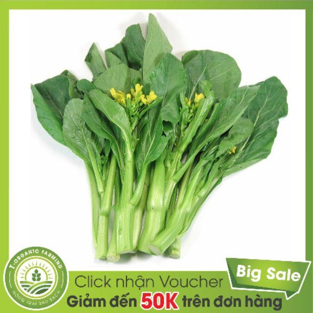 Hạt giống cải ngồng cao sản ( gói 100g)