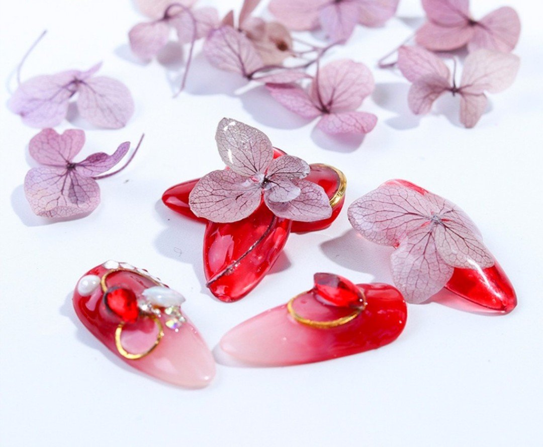 Hoa Khô Nail Dán Móng Tay, Set 12 Màu, Cánh Hoa To Và Mỏng Đắp Ẩn Theo Phong Cách Hàn Nhật