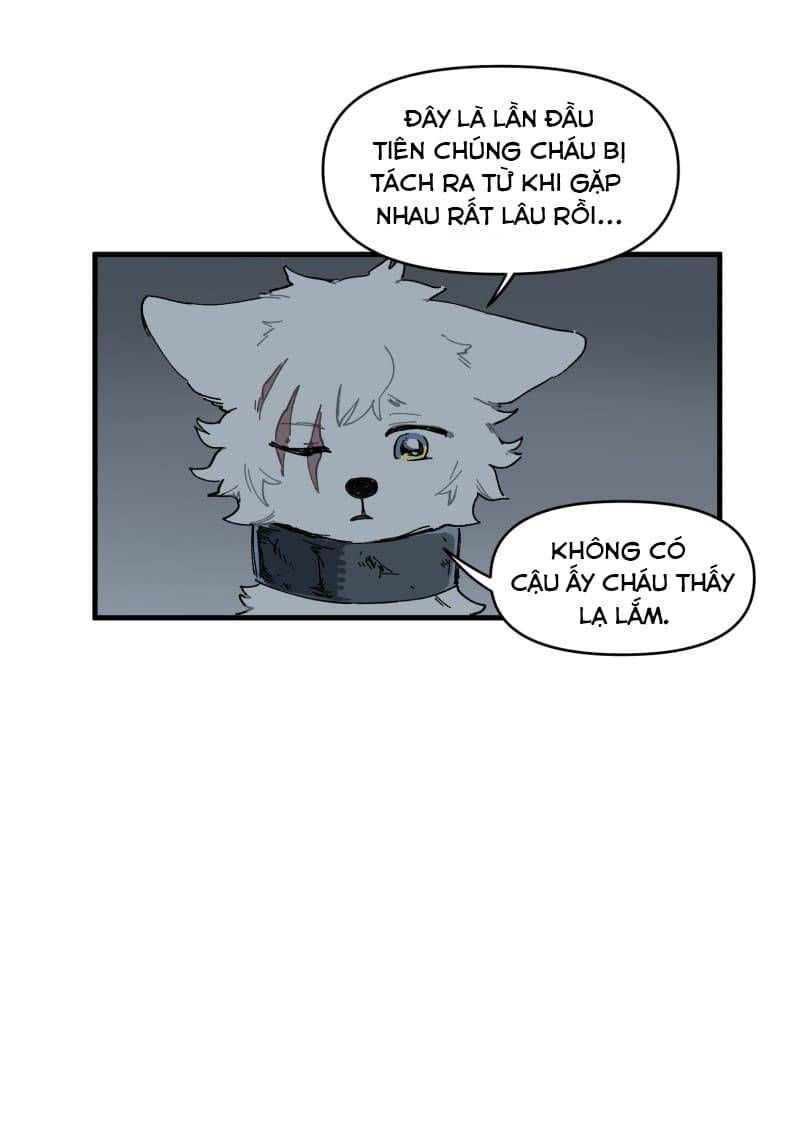 lumine - cội nguồn ánh sáng chapter 146 29