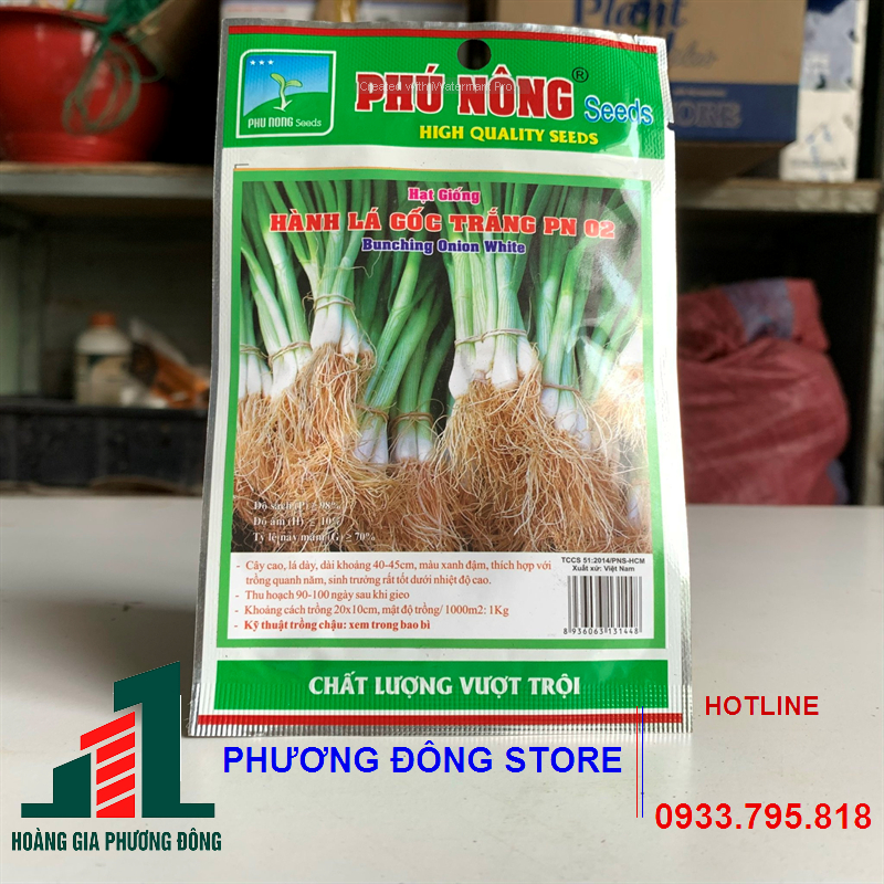 Combo 5-10 gói hạt giống hành lá gốc trắng chịu nhiệt , trồng quanh năm