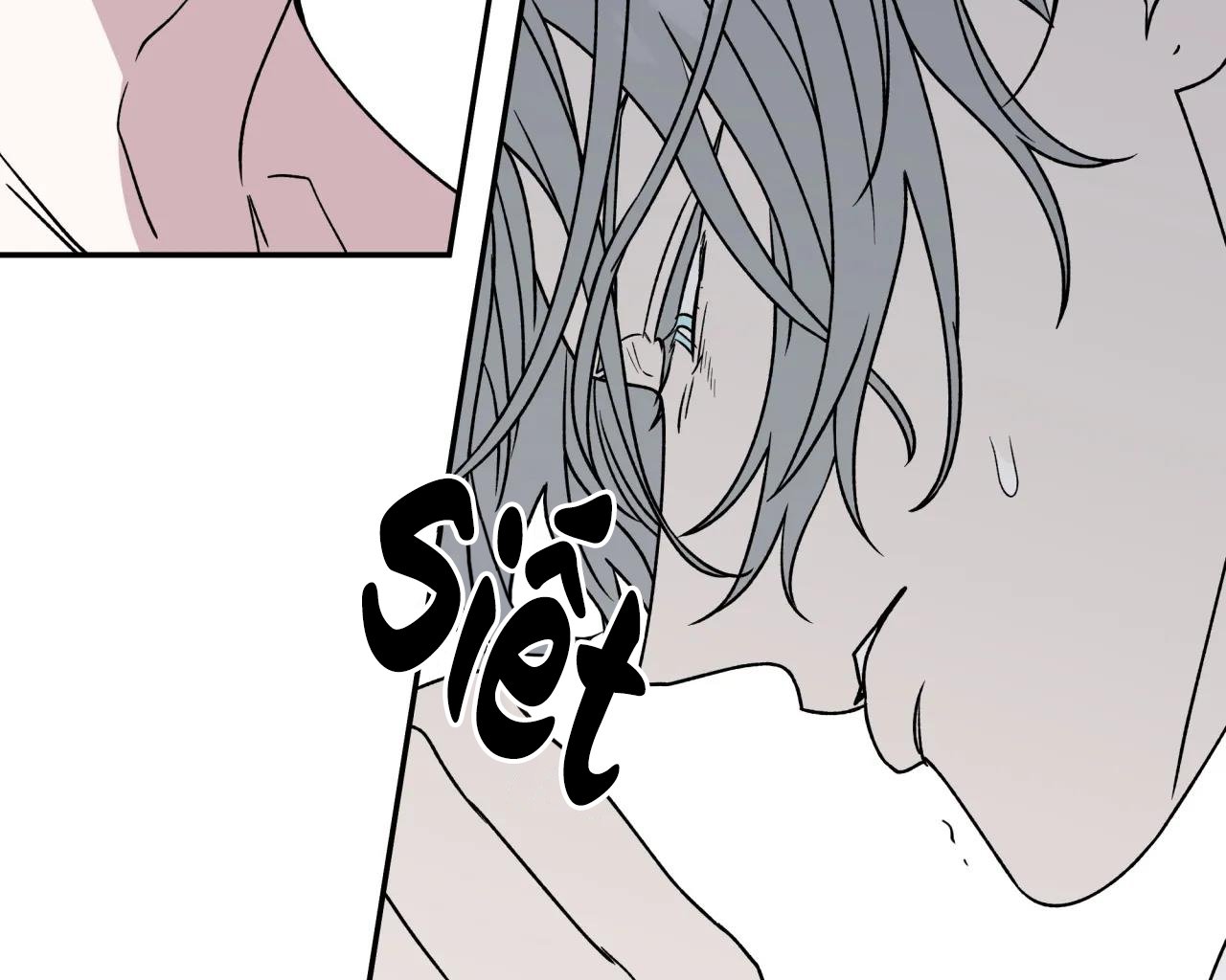 ám ảnh pheromone chapter 63 19