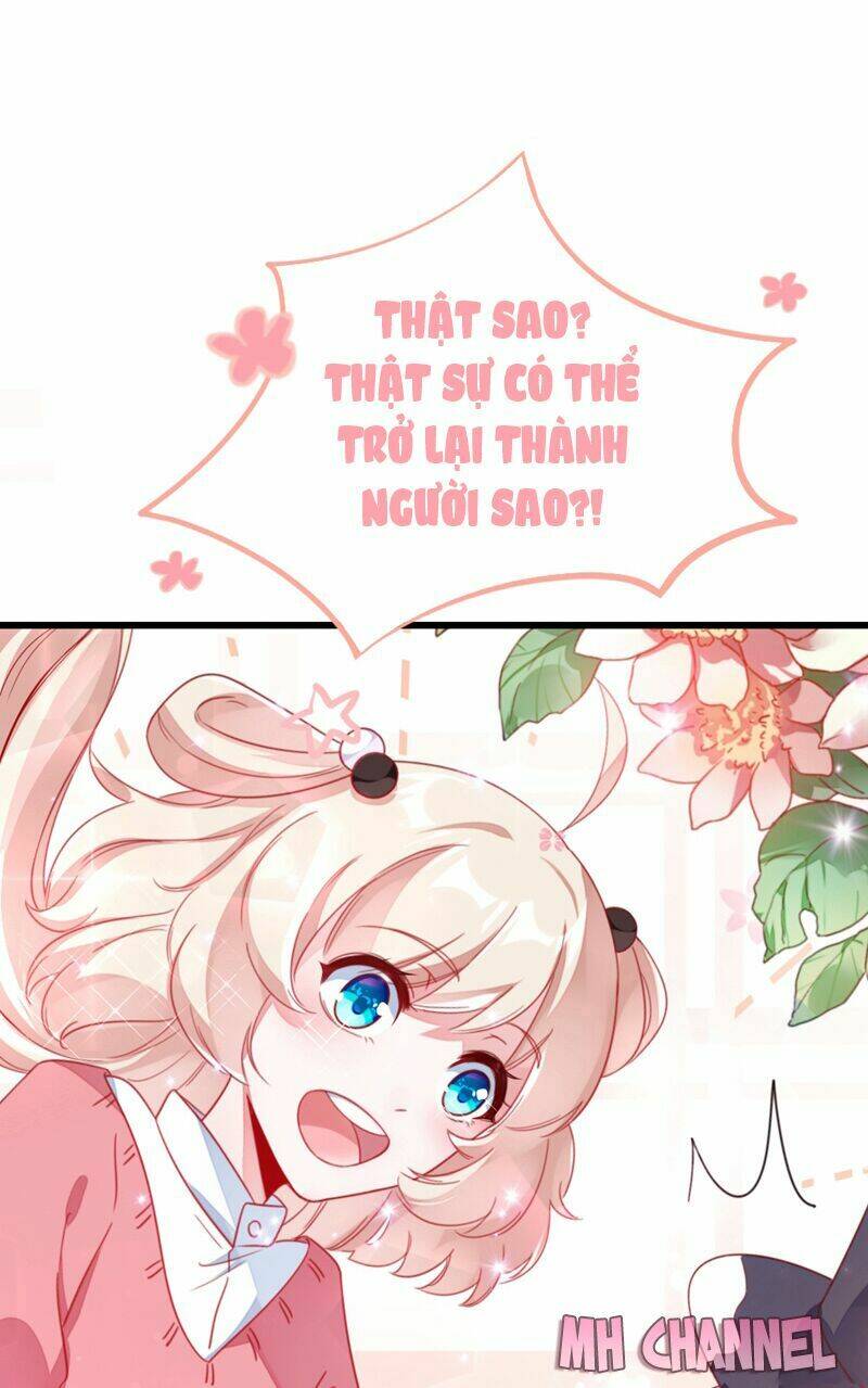 thiên thần gấu trúc muốn được ôm chapter 18 18