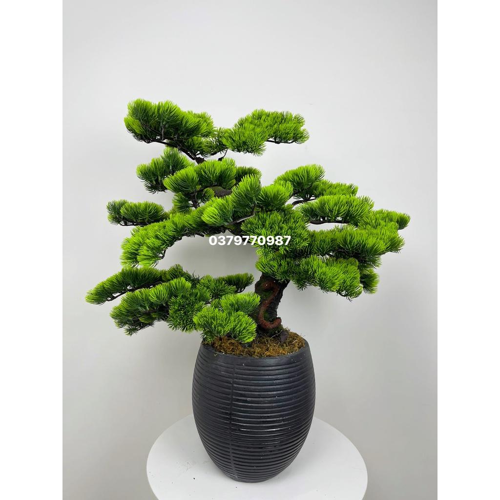 Cây Tùng Giả, Cây Bonsai giả Decor trang trí nhà cửa