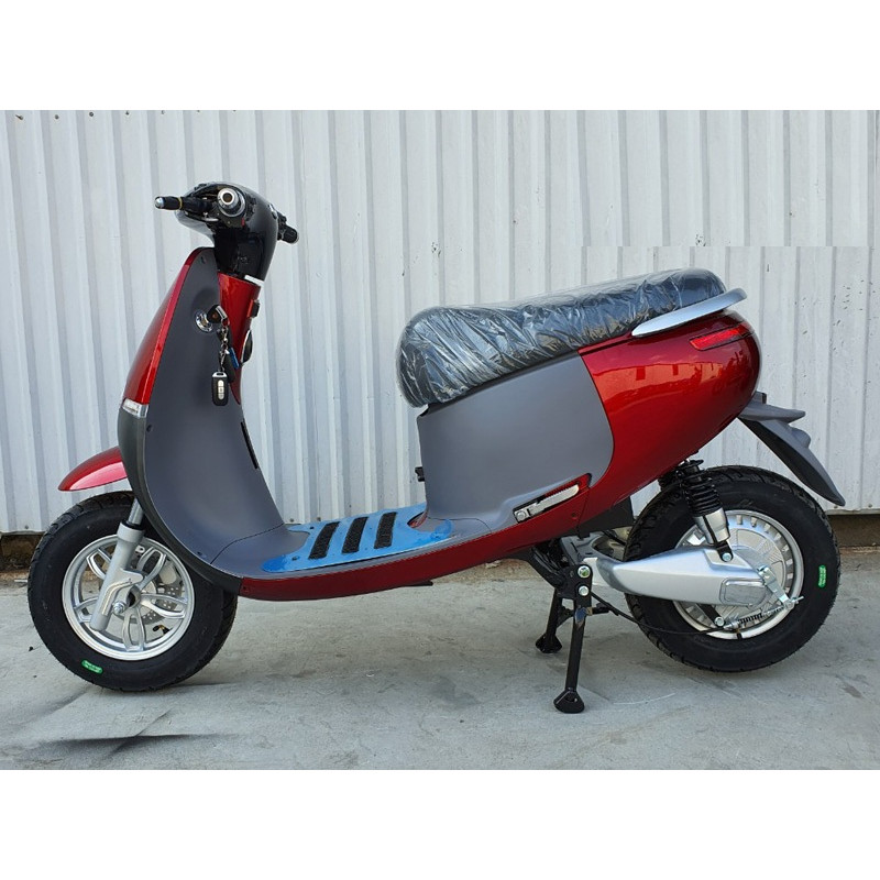 XE MÁY ĐIỆN GOGO