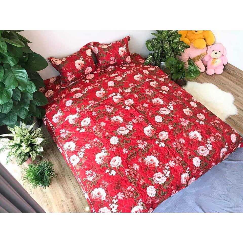 BỘ CHĂN GA COTTON POLY TRẦN BÔNG
