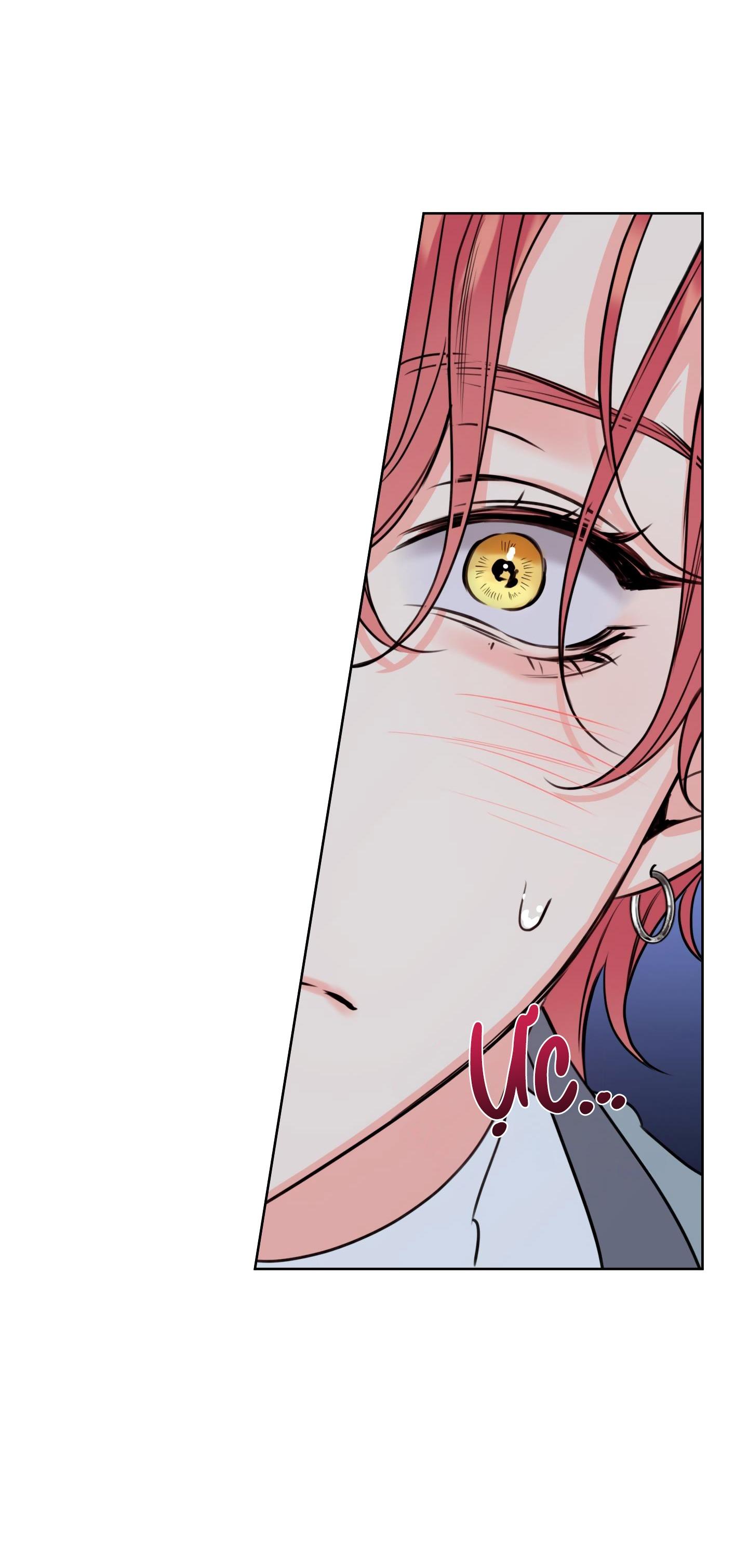 mật ong nhà làm chapter 28 13