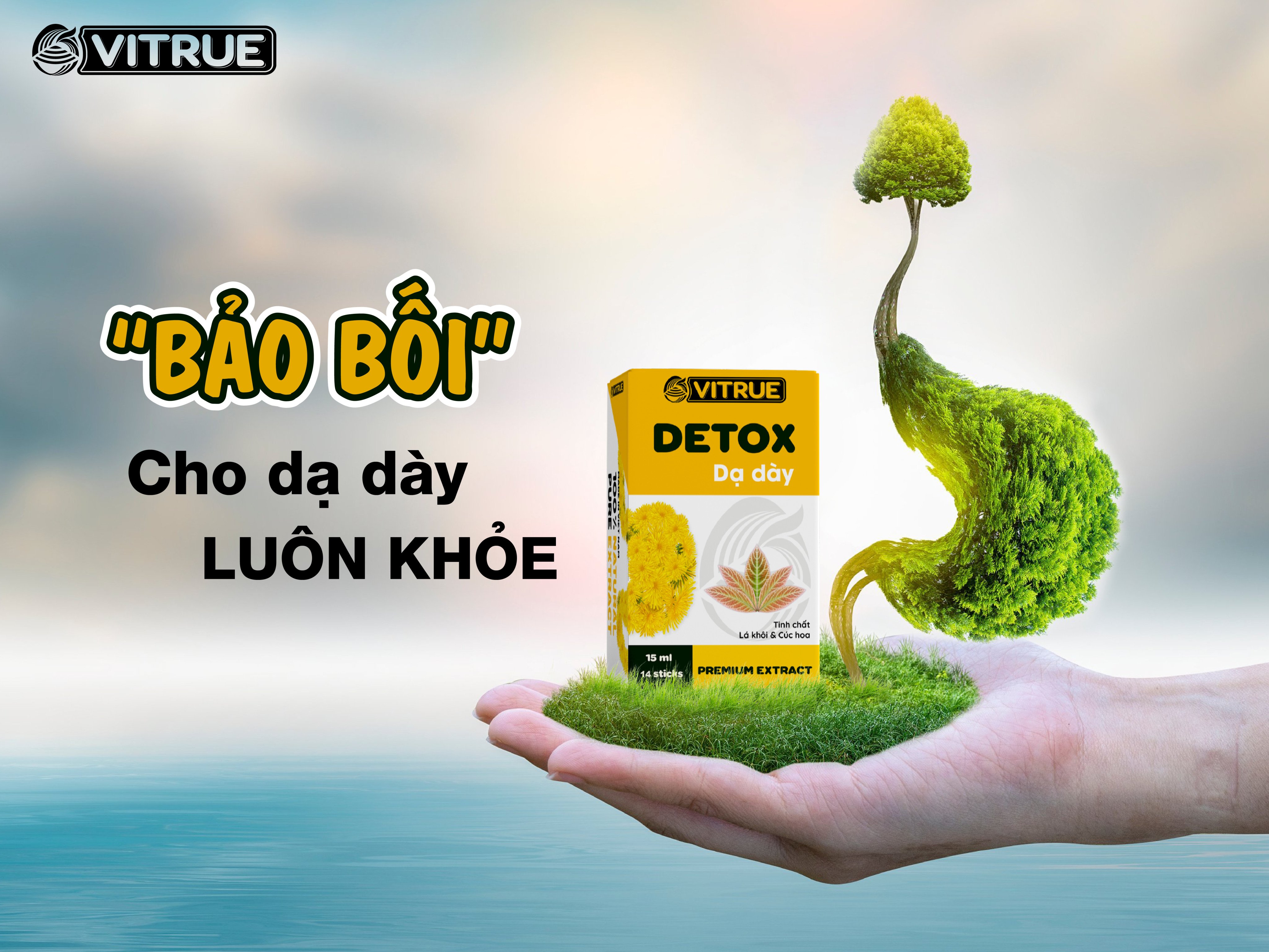 VITRUE Detox dạ dày