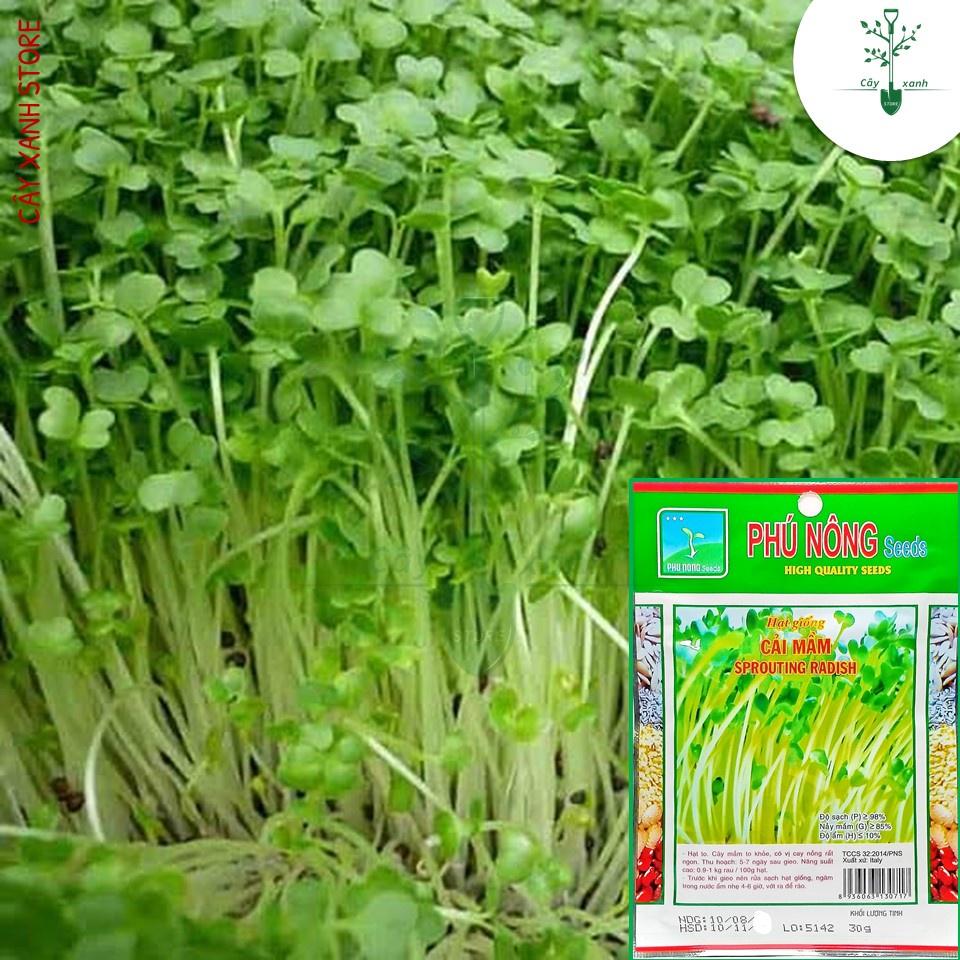Hạt Giống Rau Mầm Cải Ngọt 30Gr Giàu Dinh Dưỡng - Phú Nông Seeds - Shop Đất sạch, Phân Bón, Hữu Cơ, Xơ Dừa