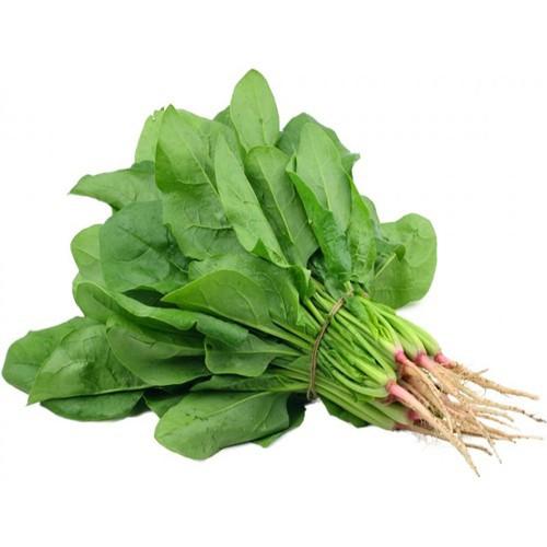 Hạt Giống Cải Bó Xôi Chịu Nhiệt, Dễ Trồng - gói 20g