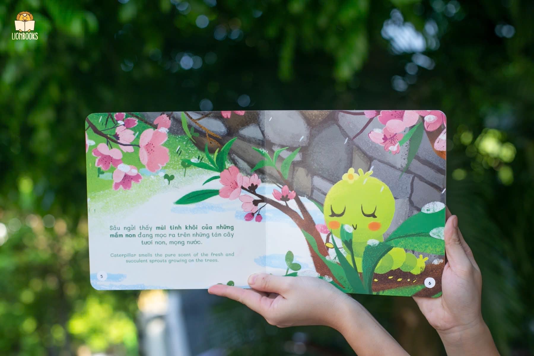 BỘ SÁCH XUÂN HẠ THU ĐÔNG - Bộ sách Việt cho em bé Việt: Hương của mùa Xuân, Thanh âm mùa Hạ, Sắc màu mùa Thu, Vị của mùa Đông - Jian - Lionbooks