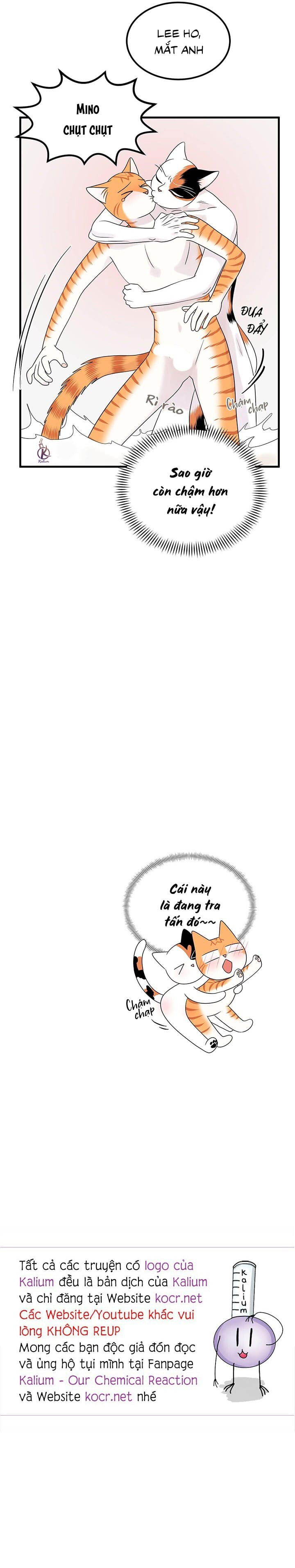 dự án xanh chapter 38 19