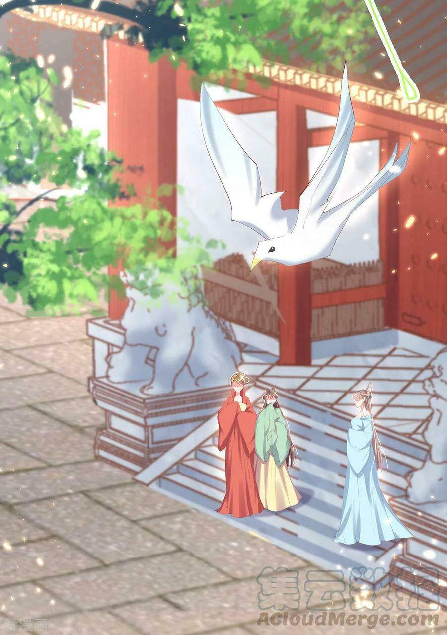 thị huyết y phi chapter 117 6