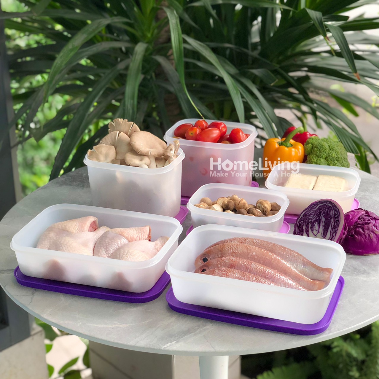 Bộ Trữ Đông Tupperware Freezermate Violet Set 6