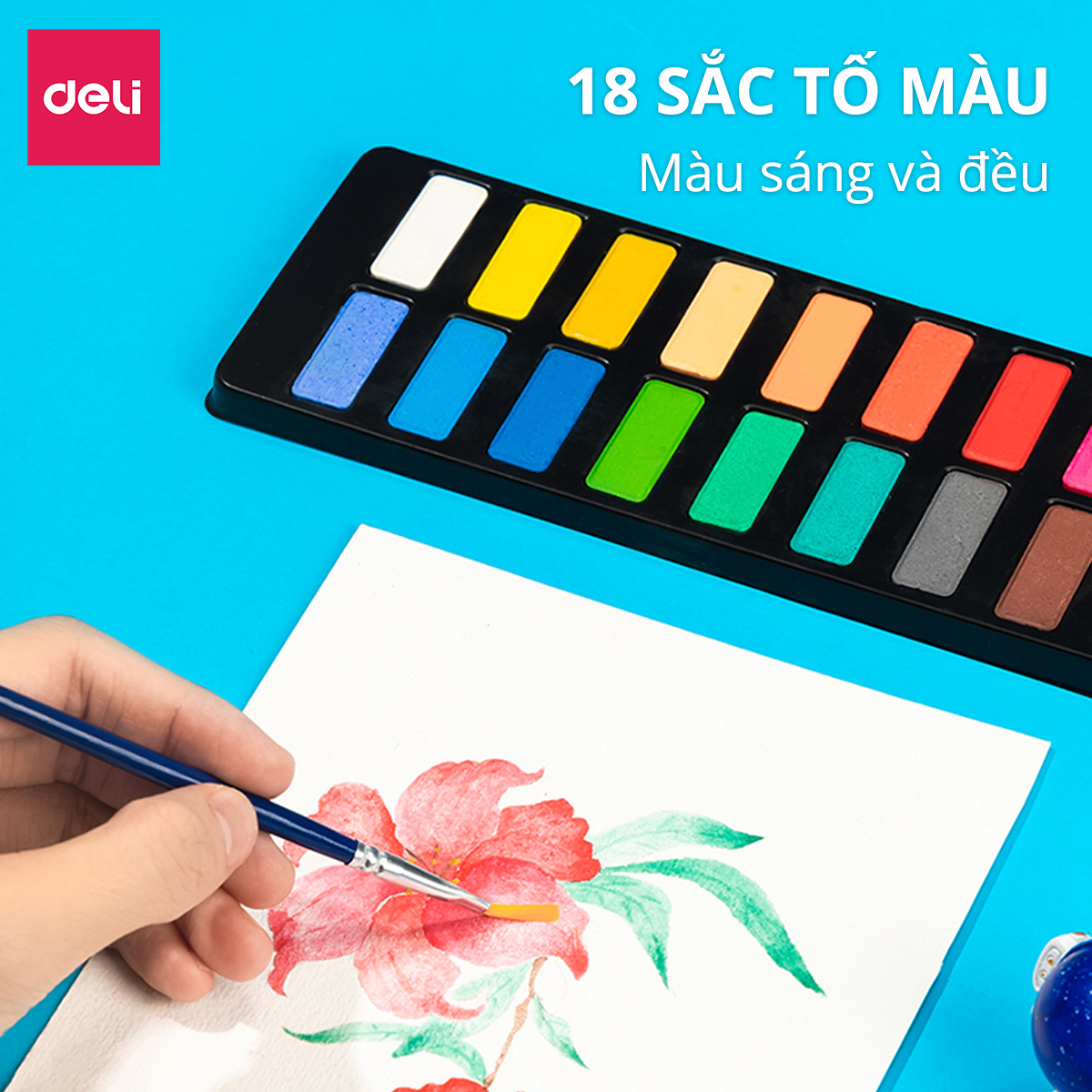 Hộp Bút Màu Tô Vẽ Tranh Cho Bé Đầy Đủ Các Dạng Màu Deli - Kèm Sticker Khay Pha Màu Tẩy Bút Chì Gọt Bút Đi Nét Tranh Tô Màu - Quà Tặng Cho Bé