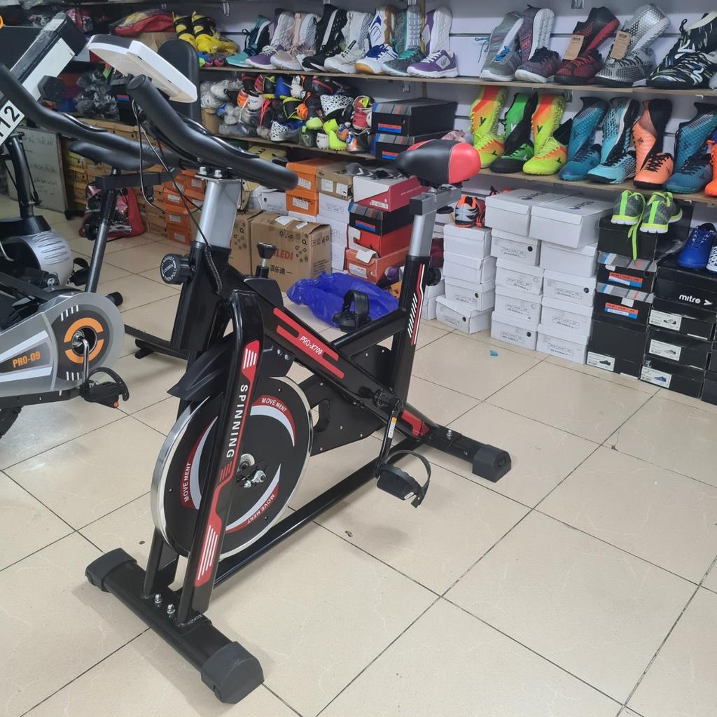 Xe đạp tập thể dục Pro Fitness Pro-X709 cao cấp tải 120 kg