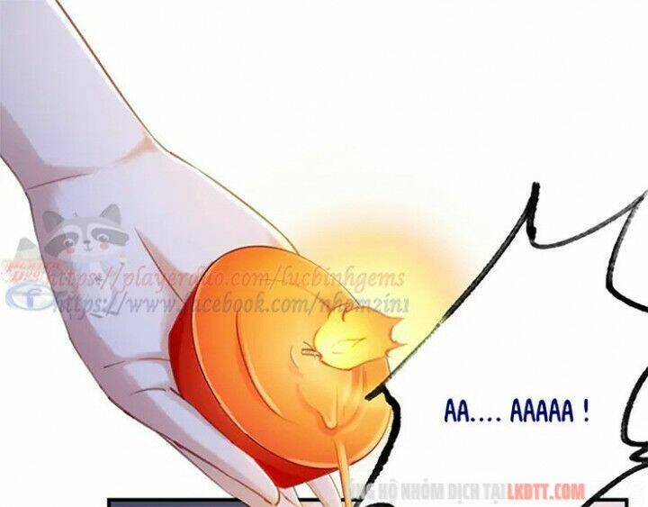 trọng sinh bá sủng nhiếp chính vương quá mạnh mẽ chapter 110 21