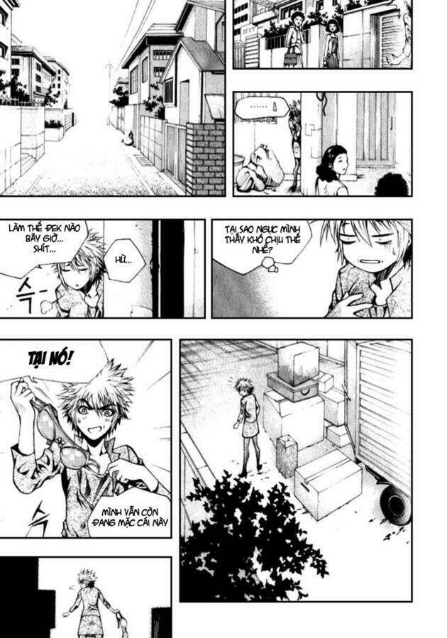 zippy ziggy chapter 2 26