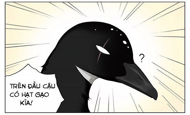 sẻ chiếu mới và nhạn phong sương chapter 5 3