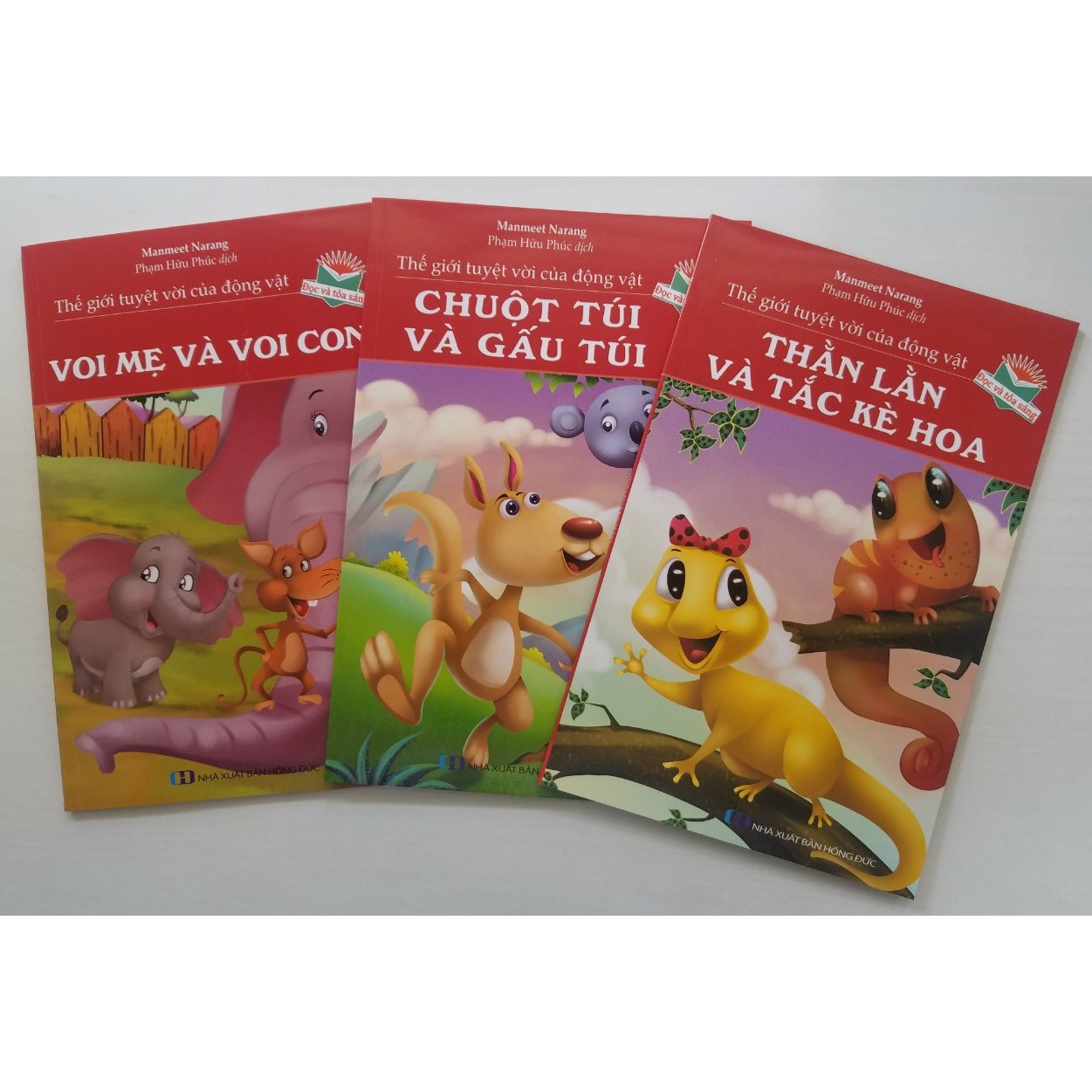 Combo Thế Giới Tuyệt Vời Cửa Động Vật: Voi Mẹ Và Voi Con + Chuột Túi Và Gấu Túi + Thằn Lằn Và Tắc Kè Hoa