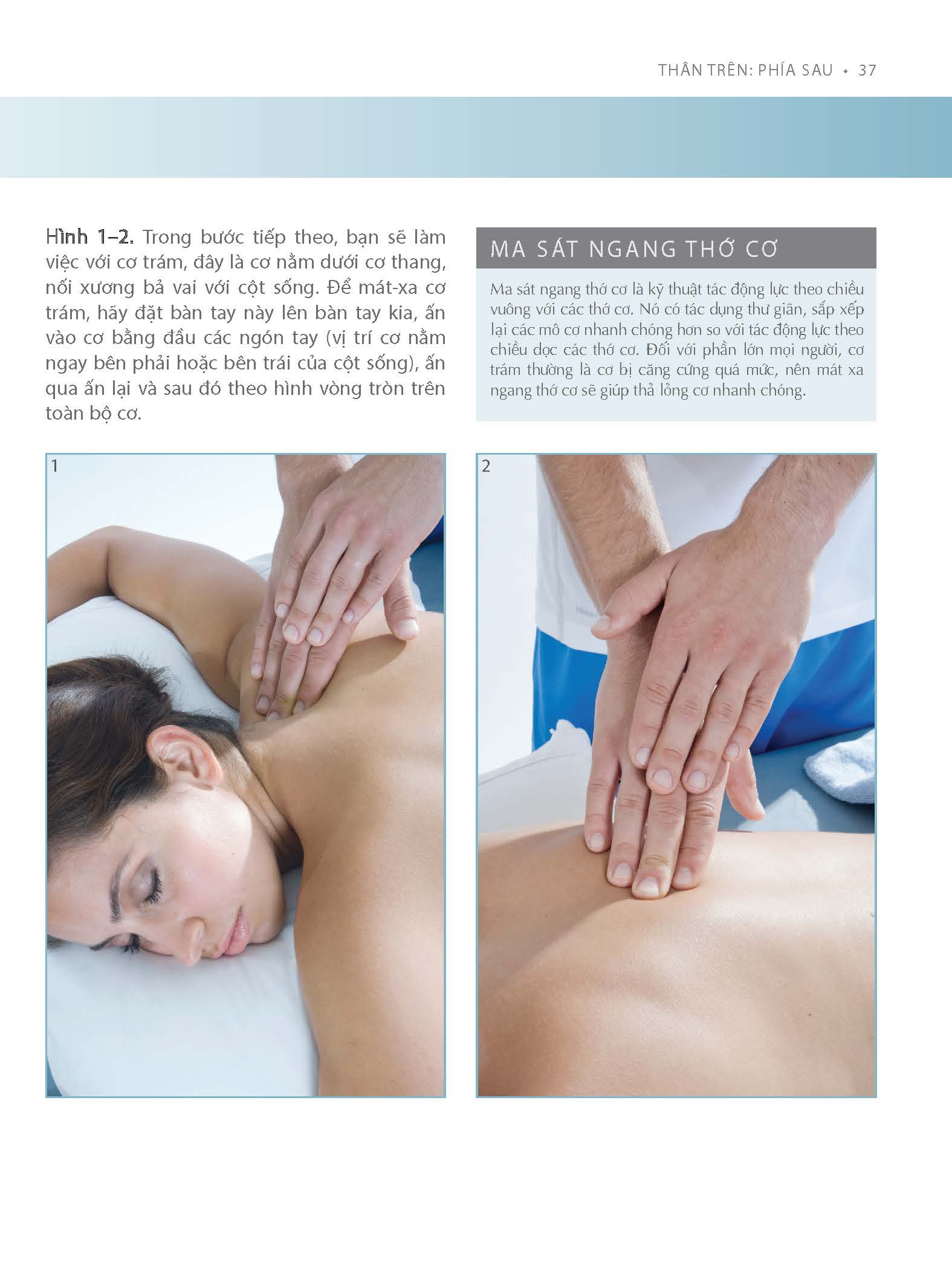 Kỹ Thuật Massage Tăng Cường Sức Khỏe