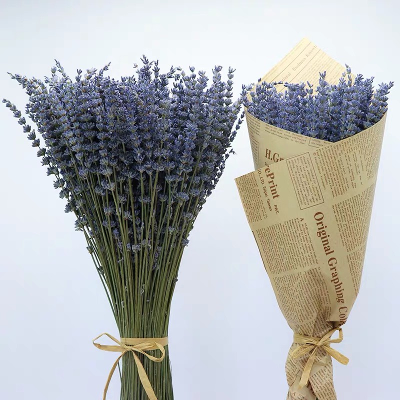 Bó hoa lavender khô hoa khô thơm tự nhiên ( tặng túi thơm ) - đọc thông tin khi mua