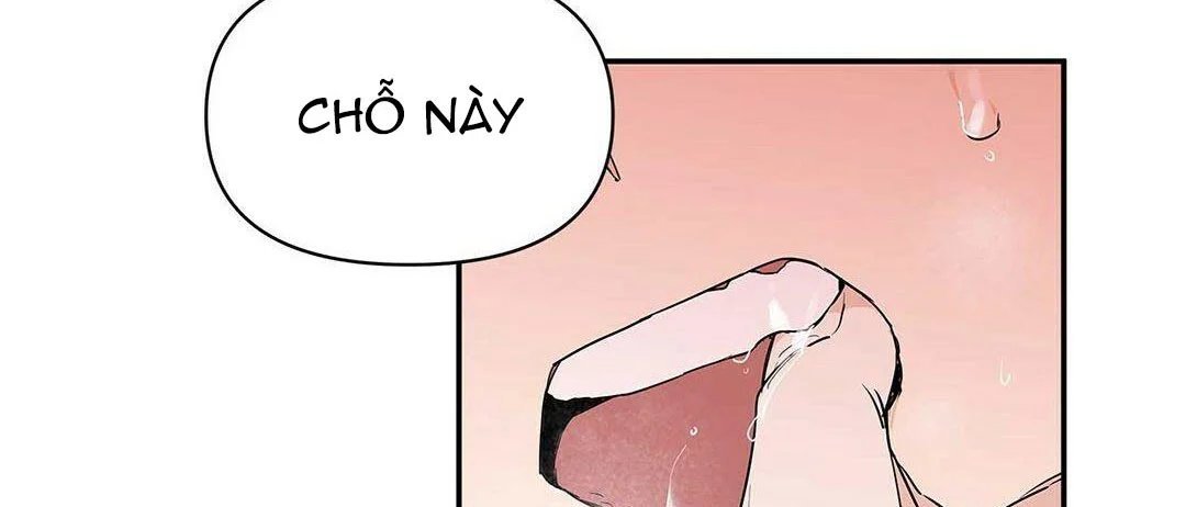 guide cấp b chapter 8 137