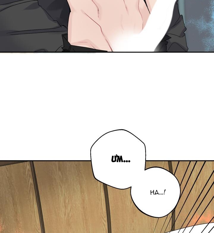 xác suất tình yêu chapter 58 91