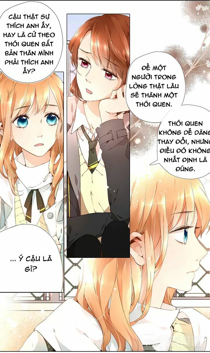 Tình yêu là màu hoa anh thảo chapter 16.1 1