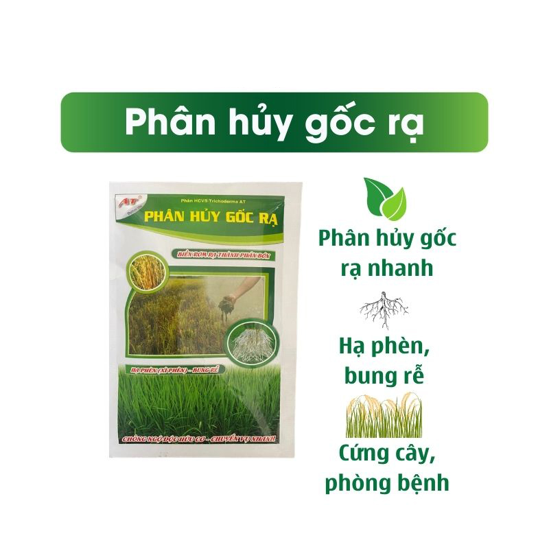 Trichoderma xử lý nhanh rơm rạ tại ruộng, ủ rơm rạ, ủ phân chống ngộ độc hữu cơ - Phân hủy gốc rạ AT 250g