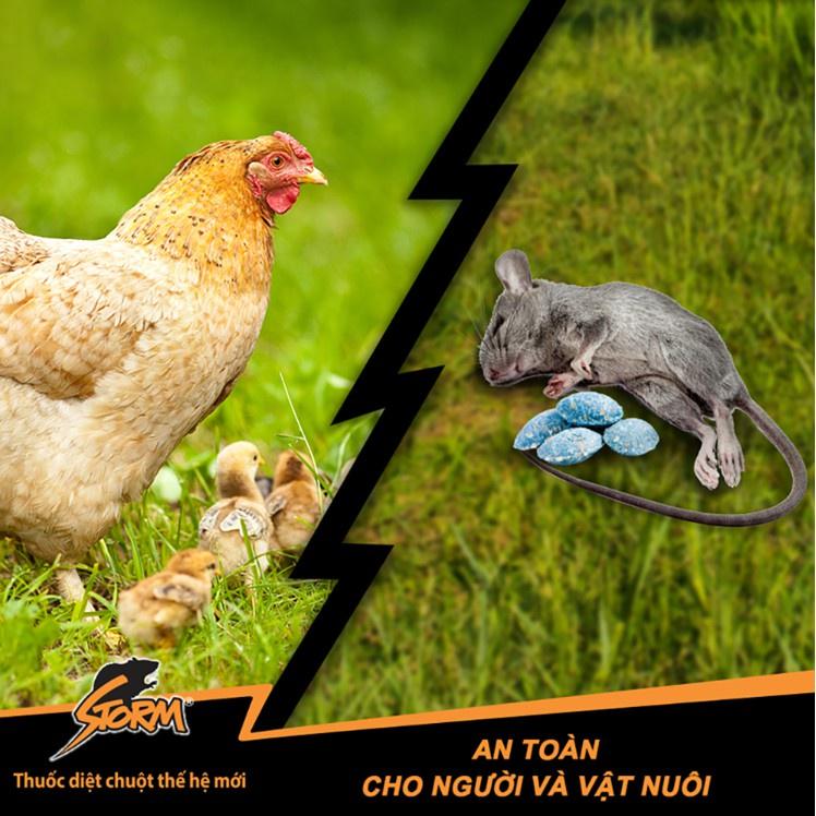 Thuốc diệt chuột dạng viên chia 1 gói 20 viên