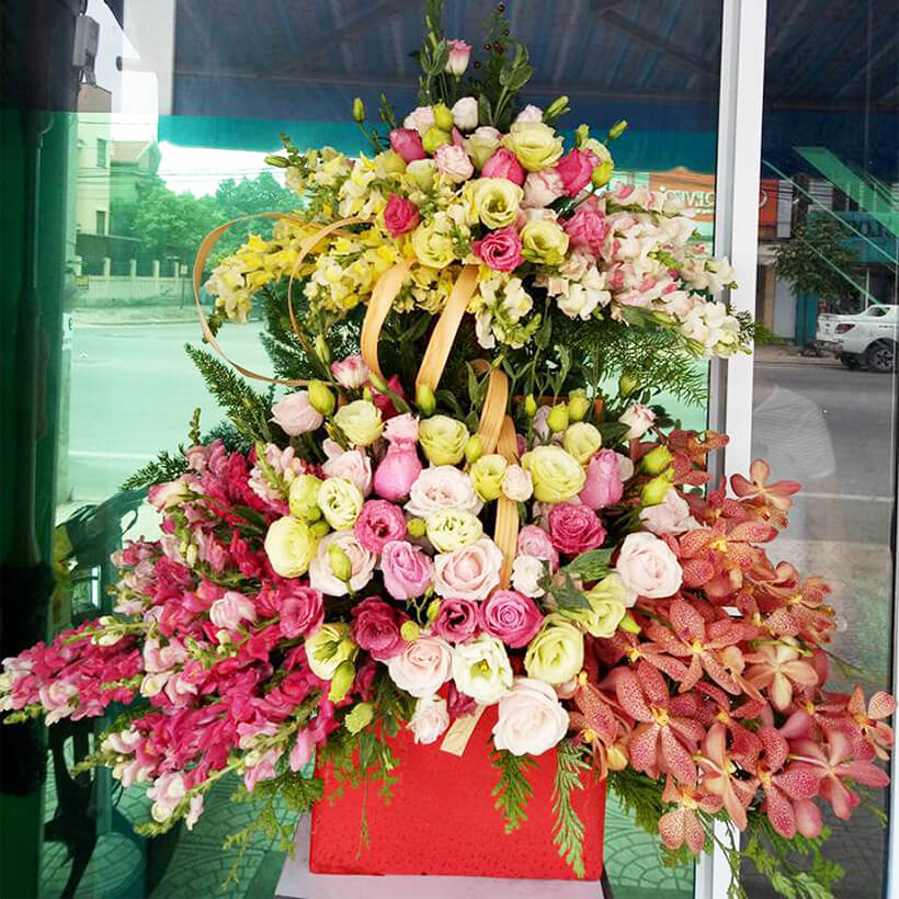 Shop Hoa Bảo Quản Hoa Cắm Lẵng, Hoa Cắm Xốp lâu tàn và hạn chế thay hoa định kỳ bằng Bột Dinh Dưỡng Hoa nhập khẩu Israel hiệu Longlife SG Của Israel