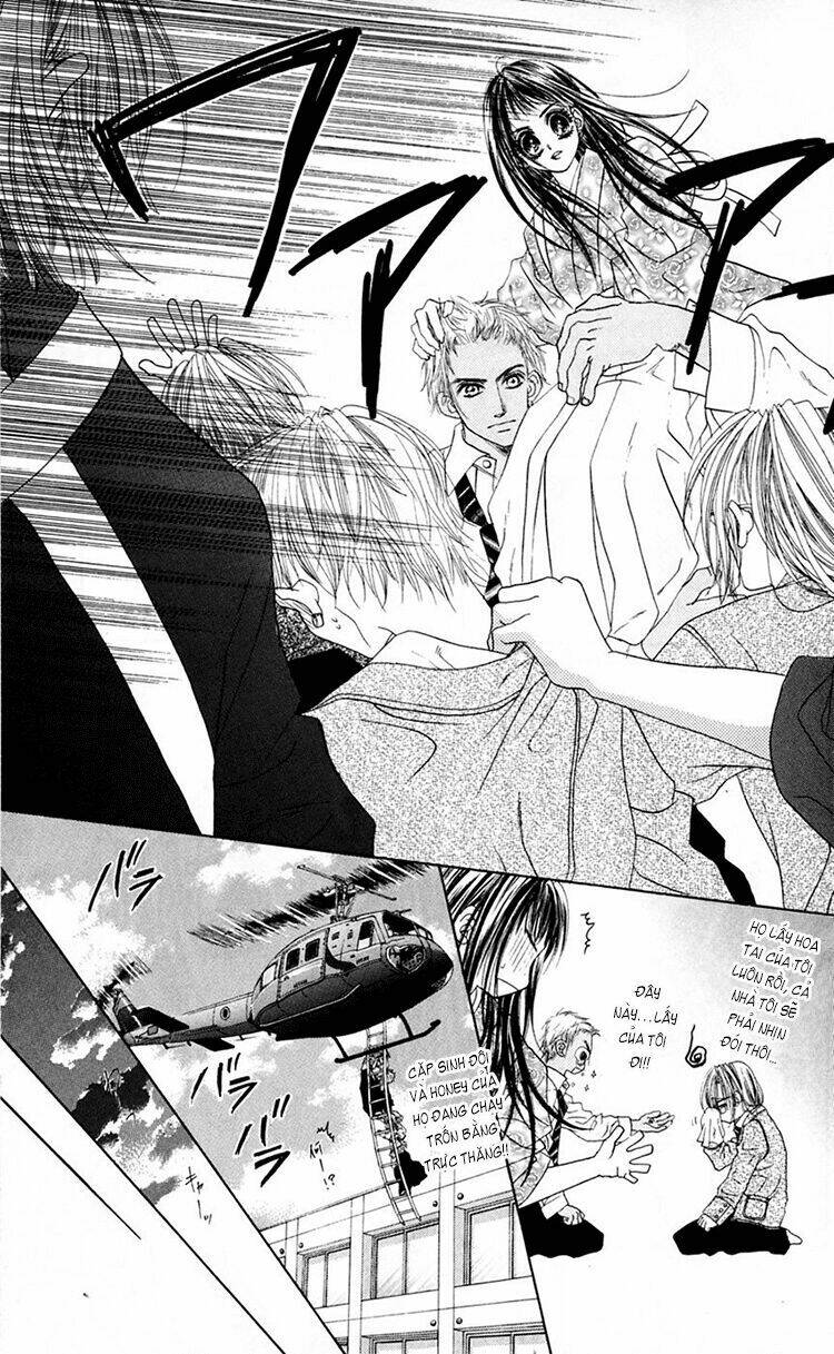 honey x honey drop chapter 12 28