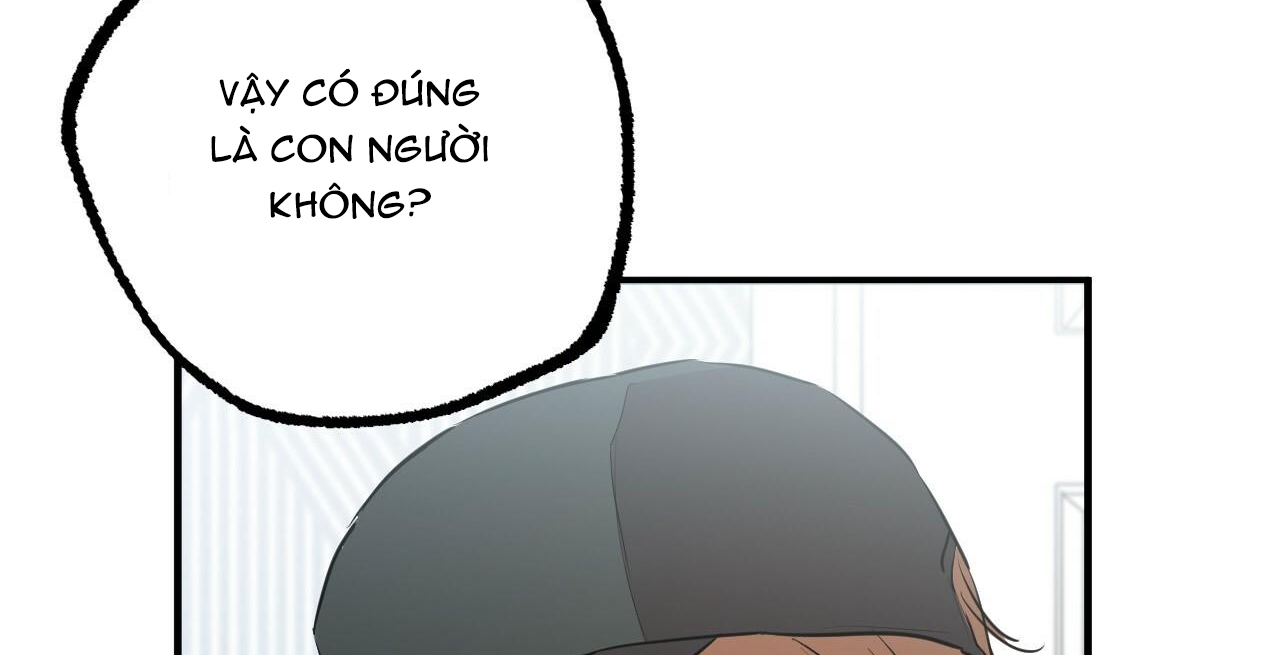 đàn thỏ của habibi chapter 36 153