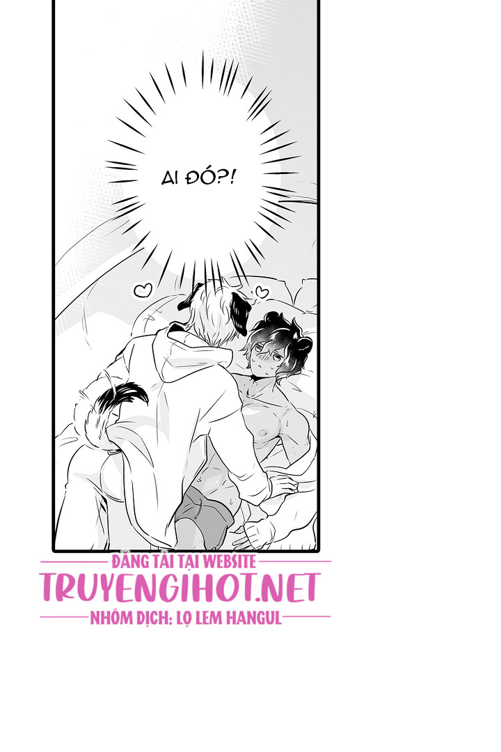 gấu ngủ đông chapter 2.2 11