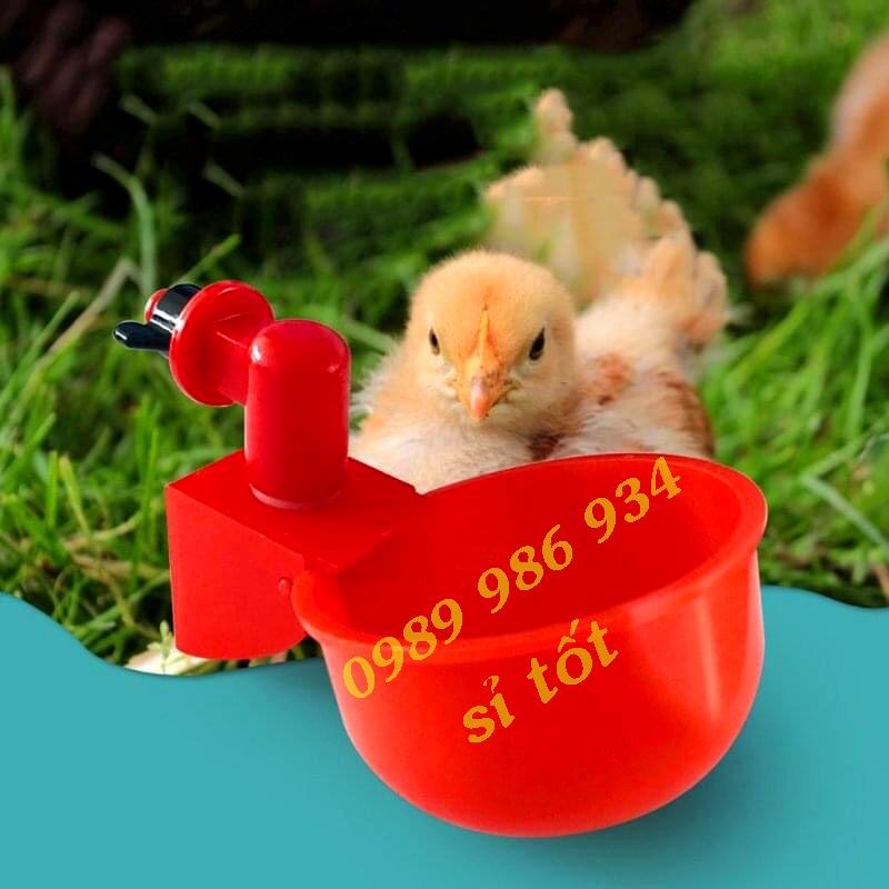 Máng uống tự động cho gà vịt ngan hàng xịn