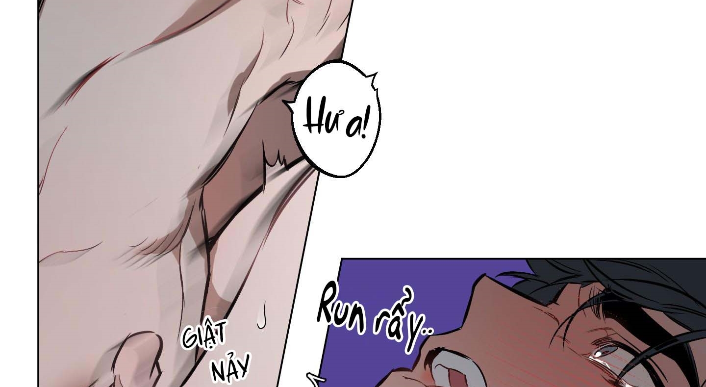 định rõ mối quan hệ chapter 43 33