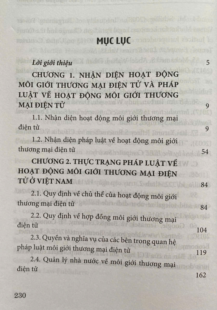 Pháp Luật Về Hoạt Động Môi Giới Thương Mại Điện Tử ( Tái bản lần thứ nhất)