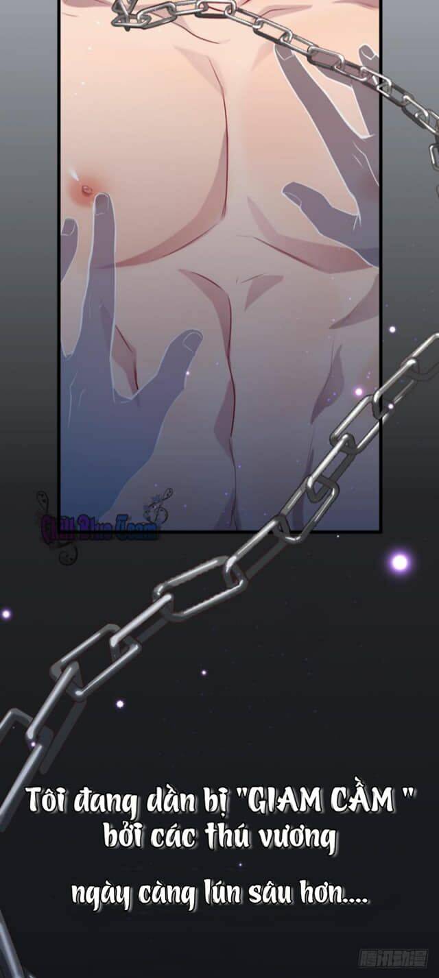 lang quân, xin đừng...! chapter 2 32