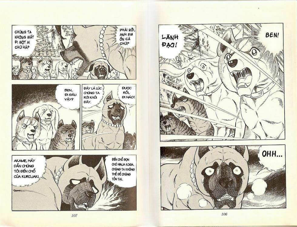 chú chó có nghĩa - ginga nagareboshi gin chapter 20 2