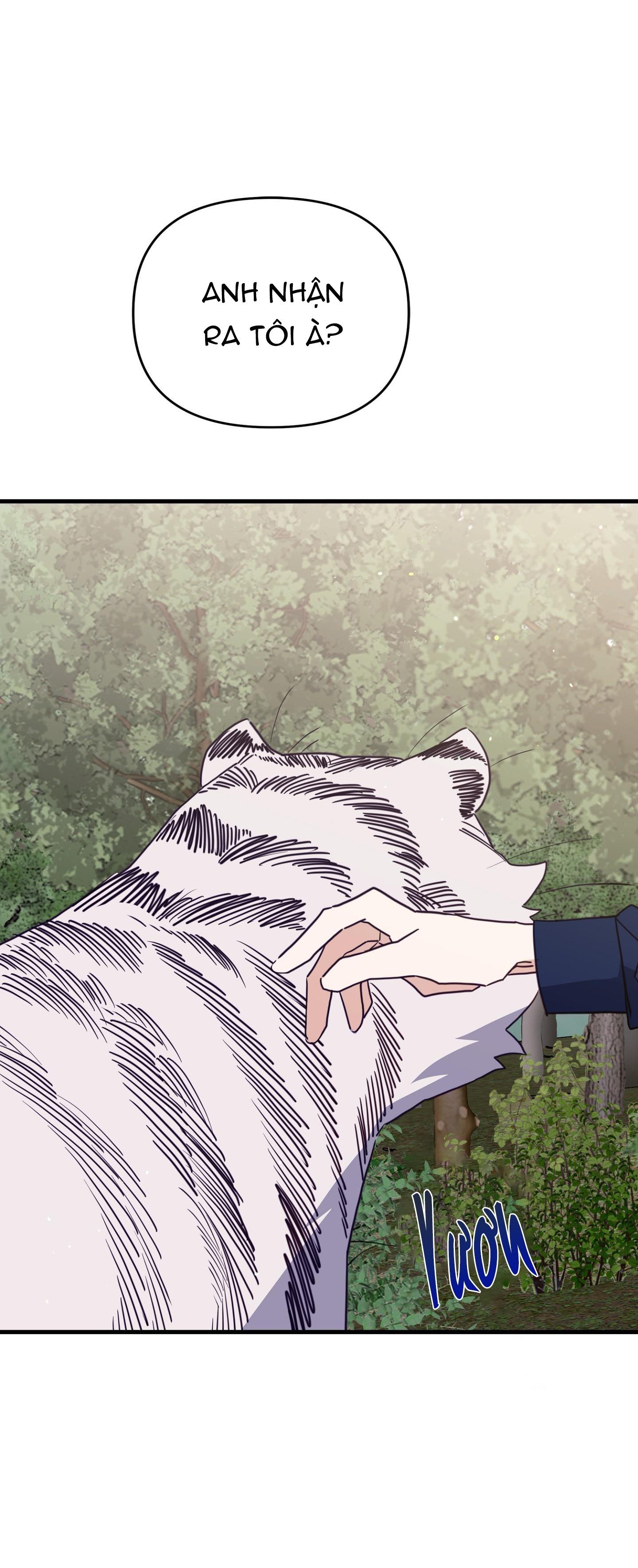 hổ trở về chapter 42 56