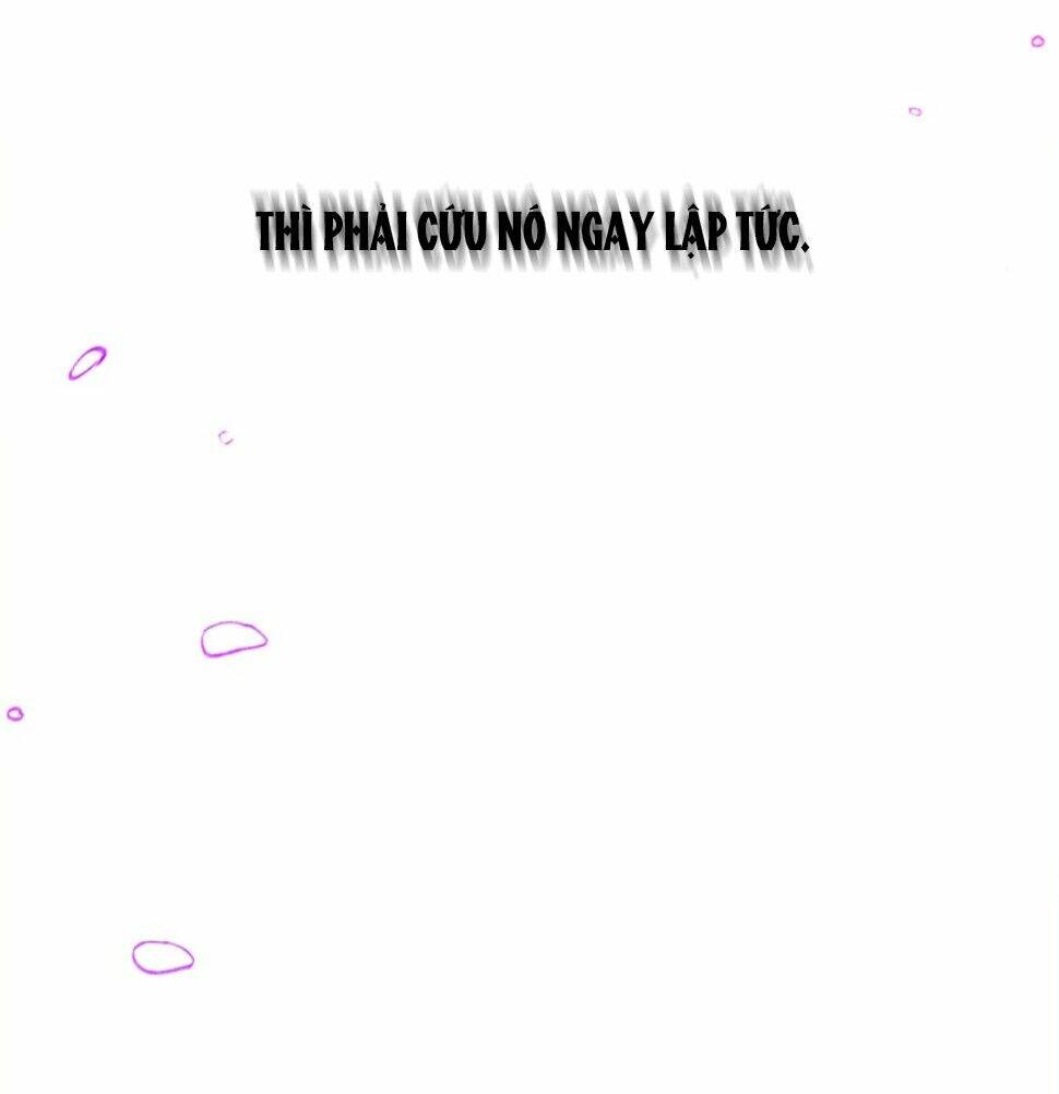 nàng elizabeth thuần khiết chapter 36 25