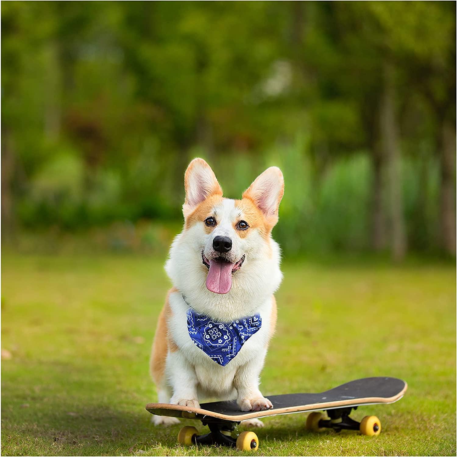 Chó Bandana Cổ Áo, Có Thể Điều Chỉnh Thú Cưng Triangle Bandana, Họa Tiết Hoa Cổ Chó Phụ Kiện Trang Phục Cho Chó Nhỏ Trung Bình